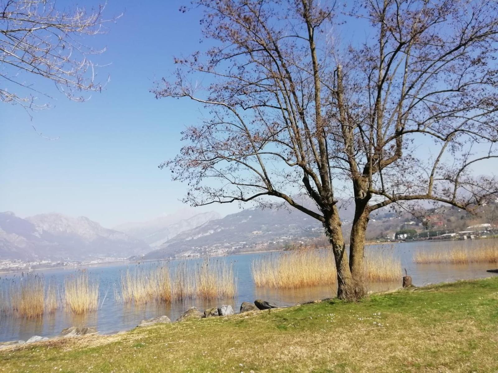 La Poesia Del Lago Oggiono Buitenkant foto